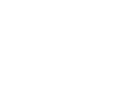 Shareholder's Equity