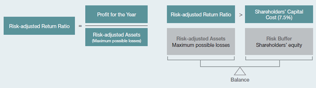 Risk-adjusted Return Management