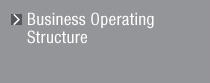 Business Operating Structure