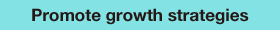 Promote Growth Strategies