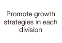 Promote growth strategies in each division