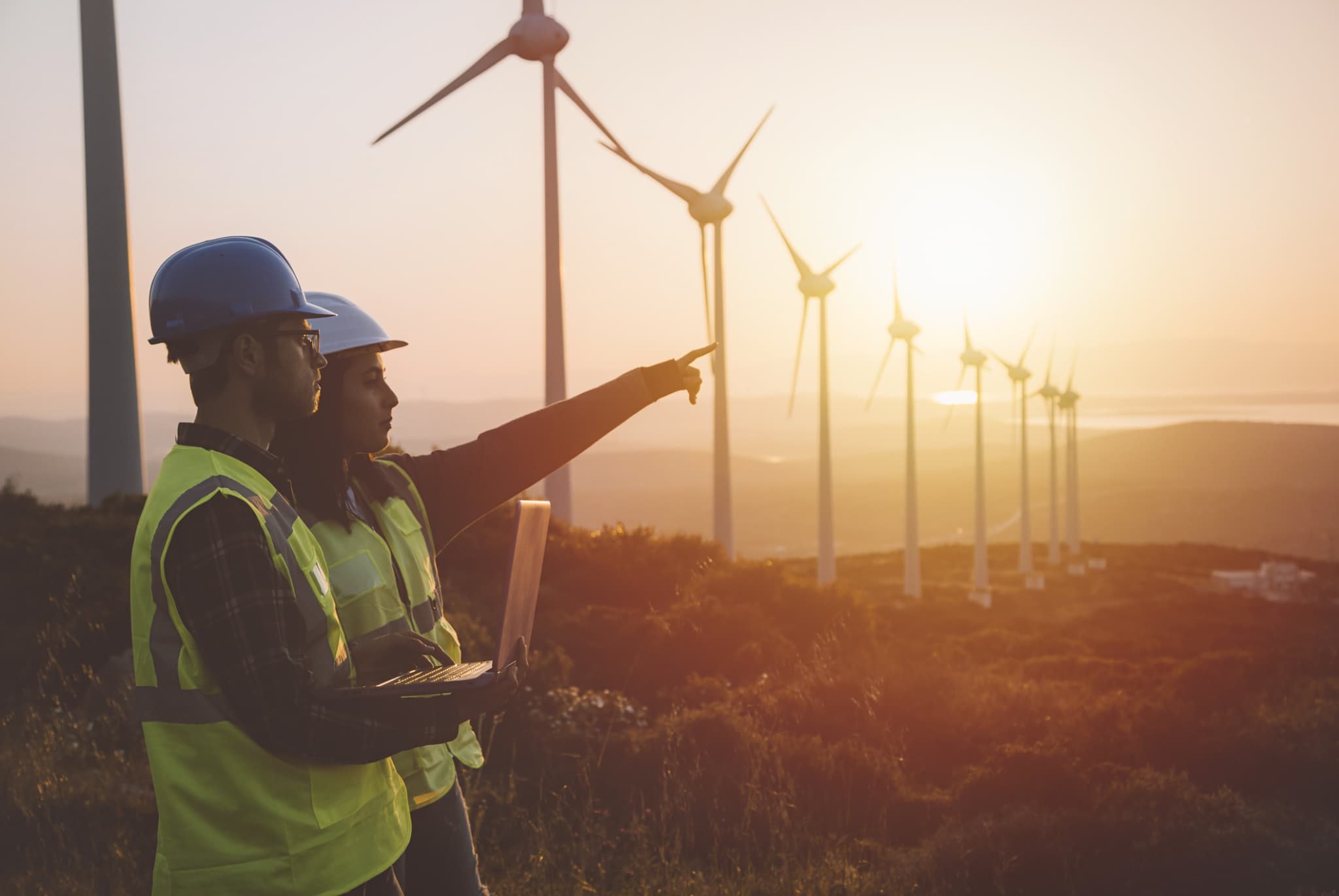 Staff in hardhats point towards a row of wind turbines
