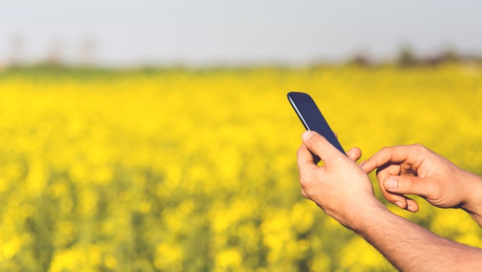 A person using a mobile phone with agricultural fields behind