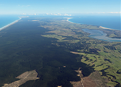 ニュージーランド北東ノースランド地区に所有する36,000ヘクタールの森林