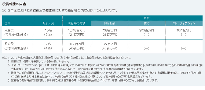 Particulars Regarding the Remuneration of the Company's Directors