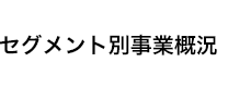 セグメント別事業概況