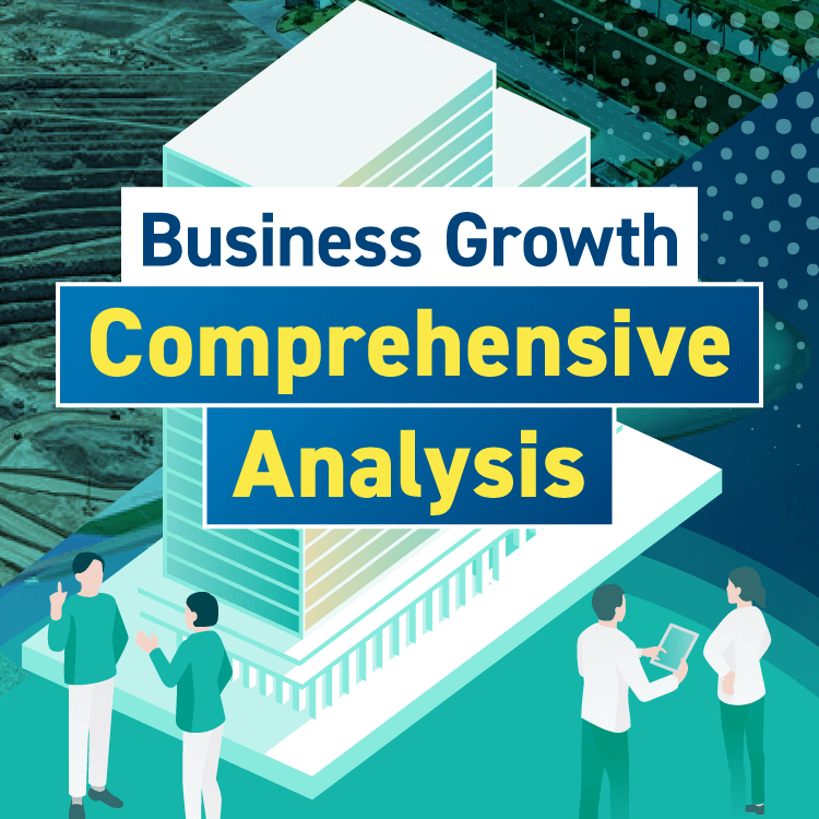 Business Growth Comprehensive Analysis