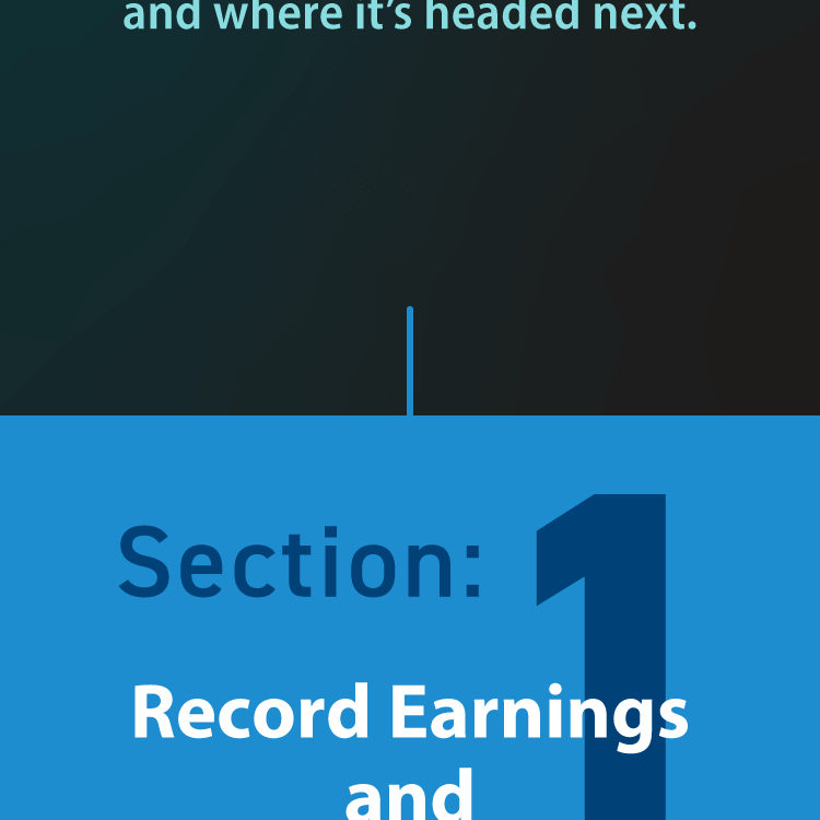 Section:1 Record earnings and strong returns
