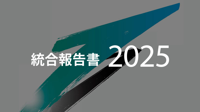 総合報告書2025