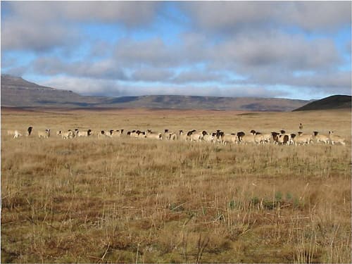 Wind farm site