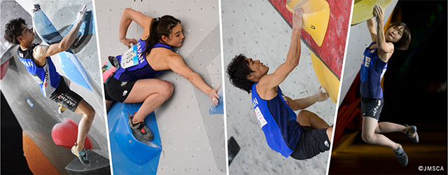 About Sports Climbing