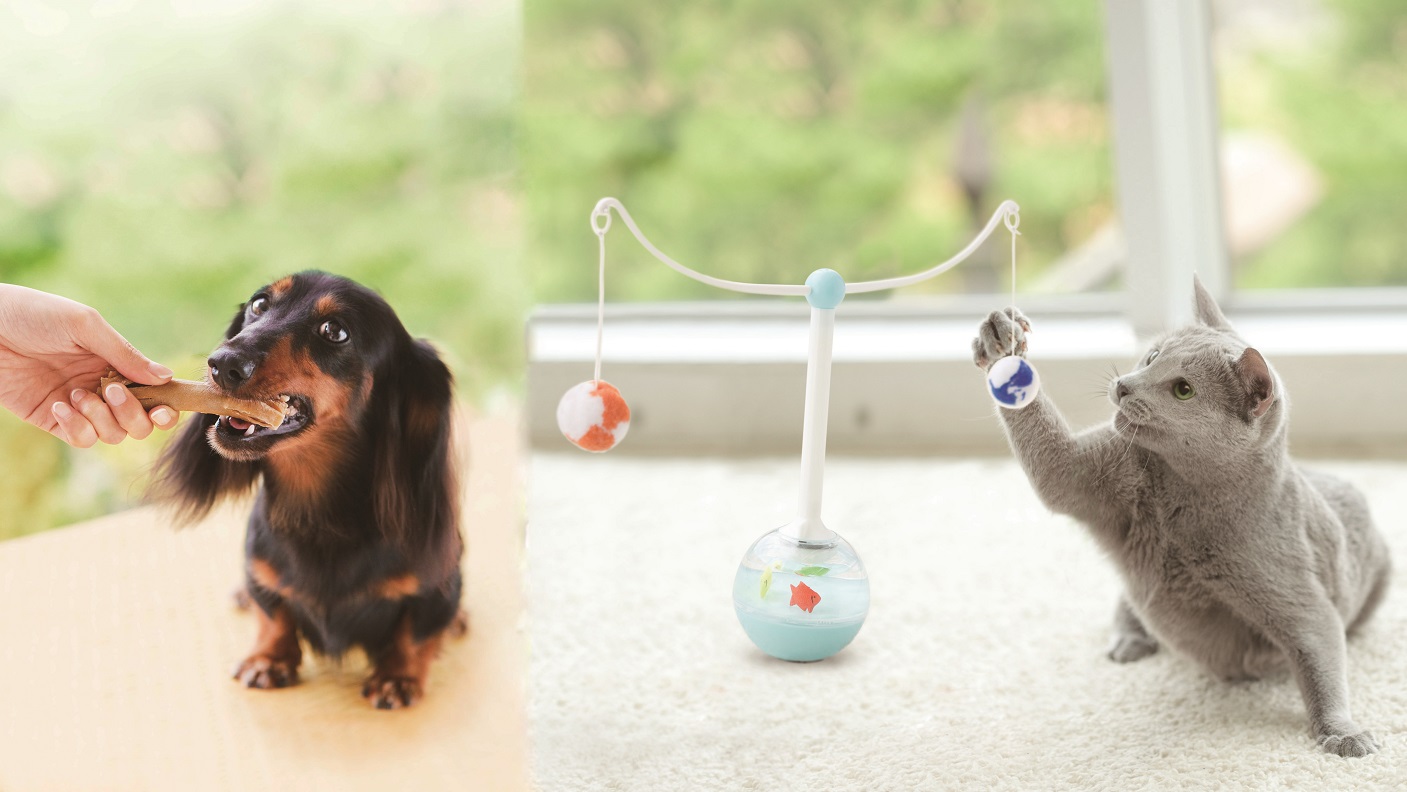 Animal health business for beloved pets Sumitomo Corporation in