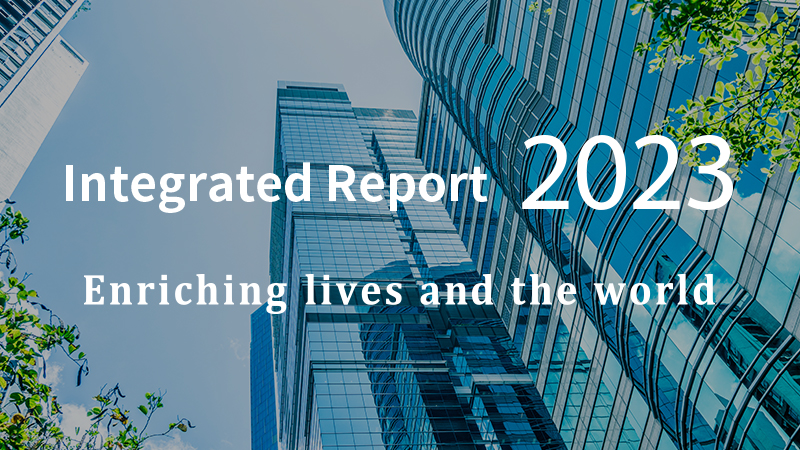 Integrated Report 2022